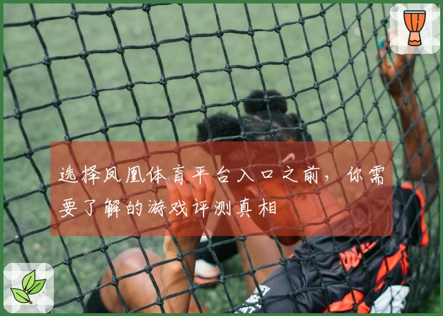 选择凤凰体育平台入口之前，你需要了解的游戏评测真相